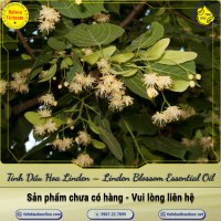 tinh-dau-hoa-linden-linden-blossom-essential-oil-1-lit - ảnh nhỏ  1